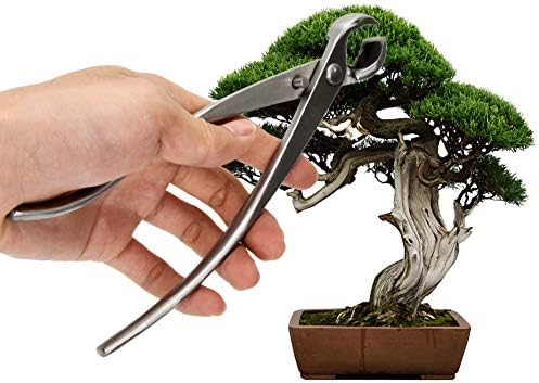 Nástroje na bonsaje |   Profesionální bonsai nářadí, nůžky na knoflíky, konkávní nůžky, zahradnické nástroje, nerezová ocel, kulaté konkávní nůžky na větve, 210 mm, nerezový knoflíkový nůž, profesionální kvalita B Nástroje na bonsaje Nástroje na bonsaje